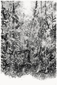 Air, light, matter (Abbaye de La Cambre #36) by Yann Bagot - Ink drawing, forest