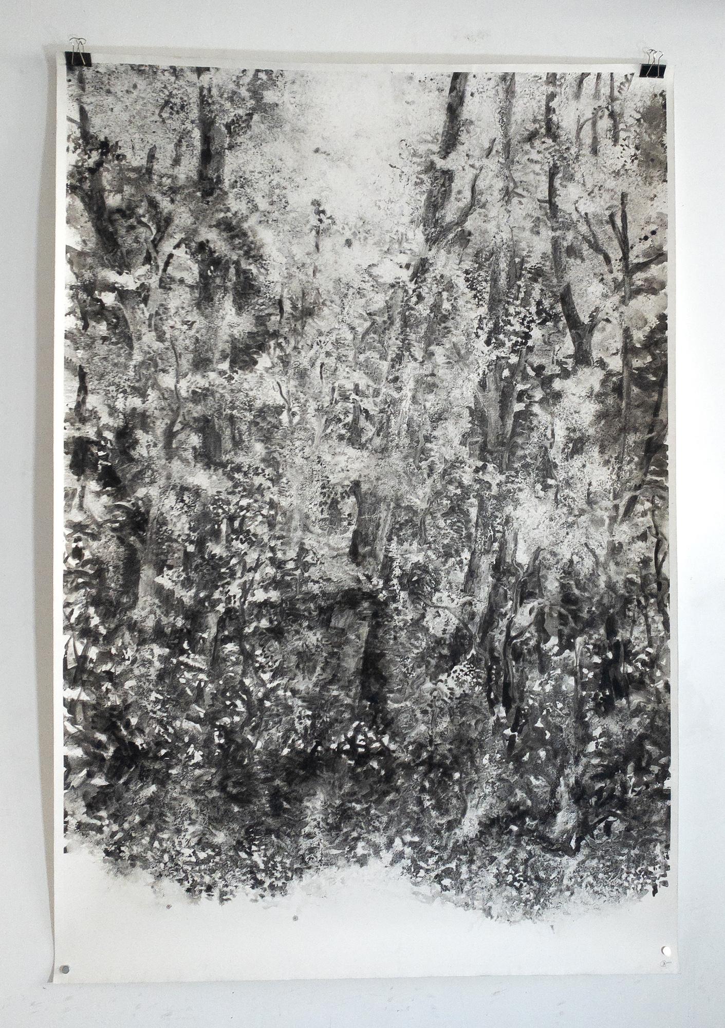 Air, light, matter (Abbaye de La Cambre n°36) de Yann Bagot - dessin à l'encre, forêt en vente 1