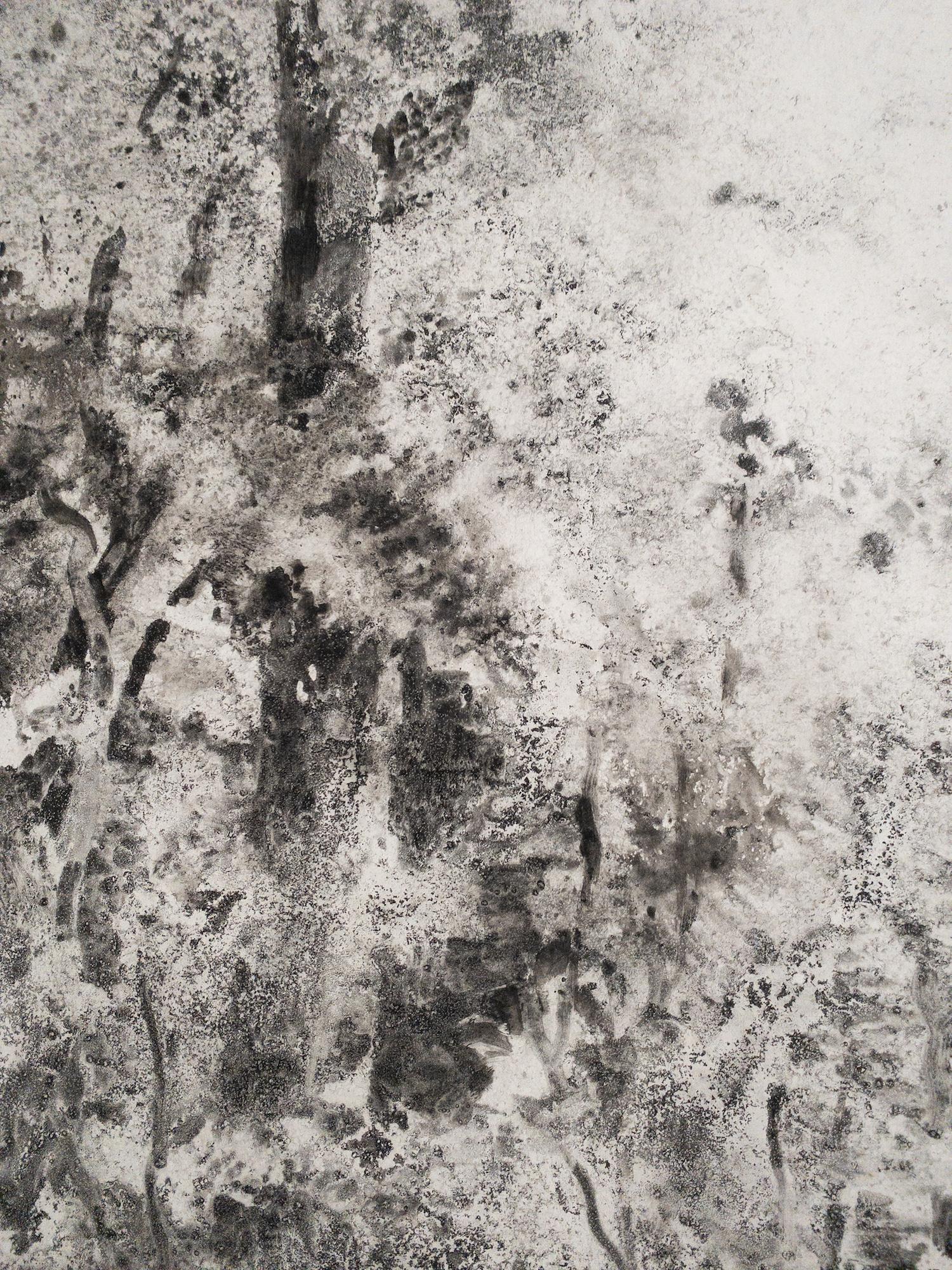 Air, light, matter (Abbaye de La Cambre n°36) de Yann Bagot - dessin à l'encre, forêt en vente 9