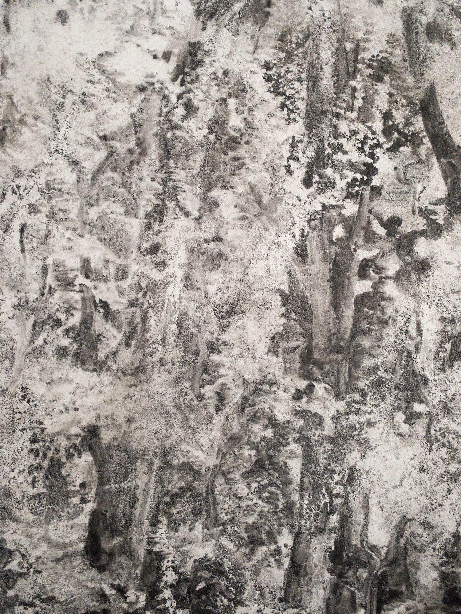 Air, light, matter (Abbaye de La Cambre n°36) de Yann Bagot - dessin à l'encre, forêt en vente 12