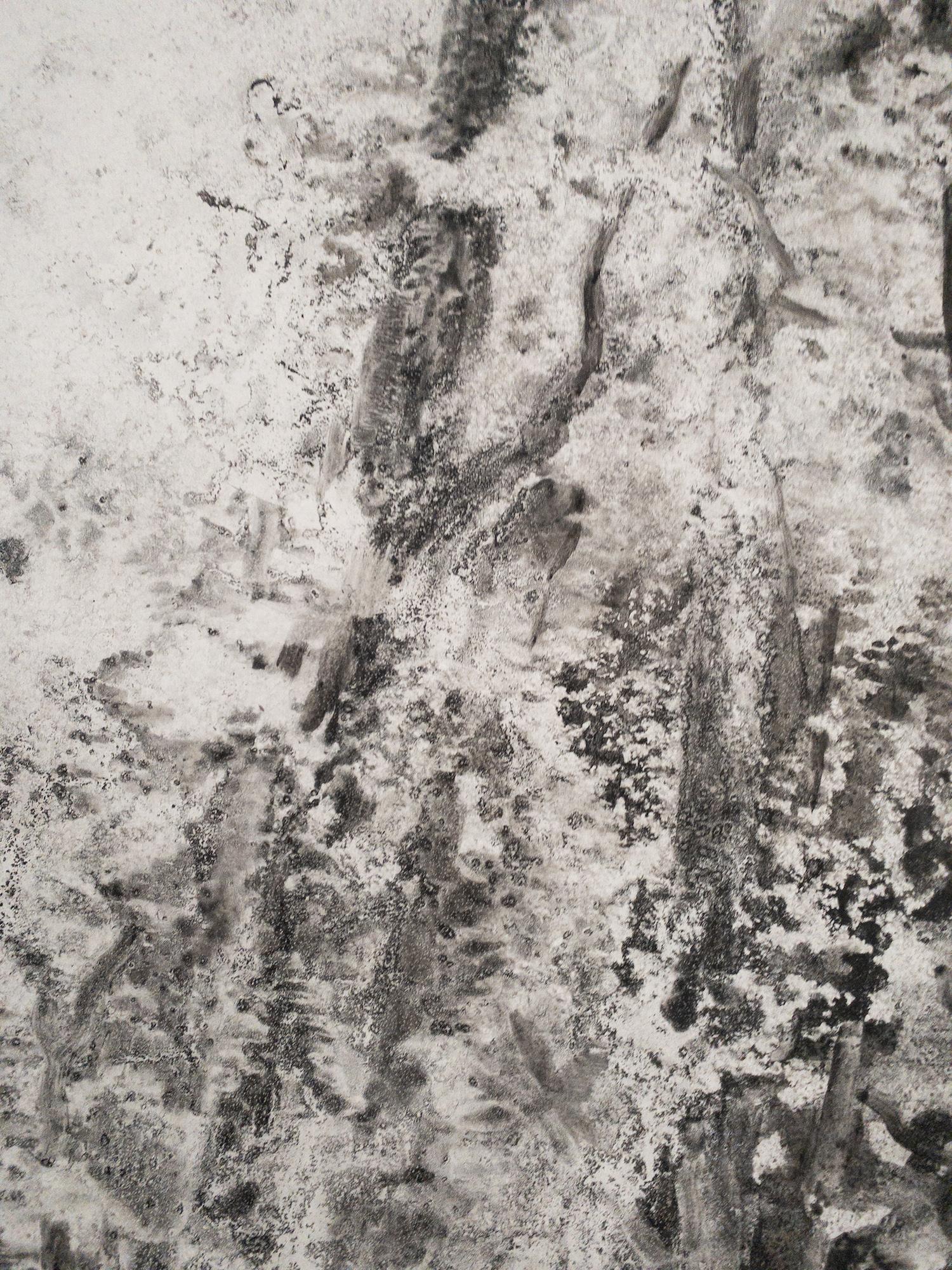 Air, light, matter (Abbaye de La Cambre n°36) de Yann Bagot - dessin à l'encre, forêt en vente 7