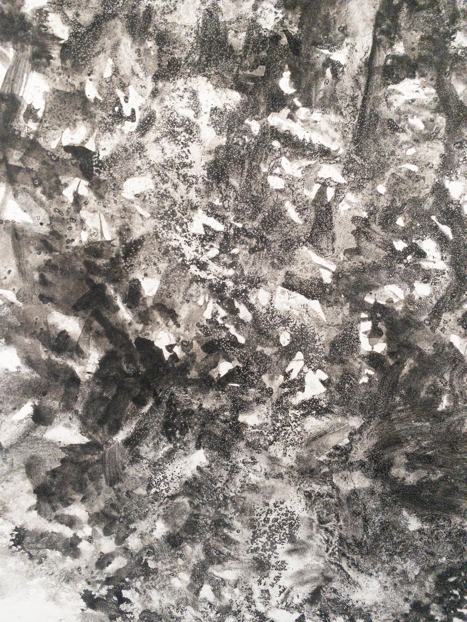 Air, light, matter (Abbaye de La Cambre n°36) de Yann Bagot - dessin à l'encre, forêt en vente 10