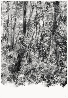 Air, light, matter (Abbaye de La Cambre #34) by Yann Bagot - Ink drawing, forest