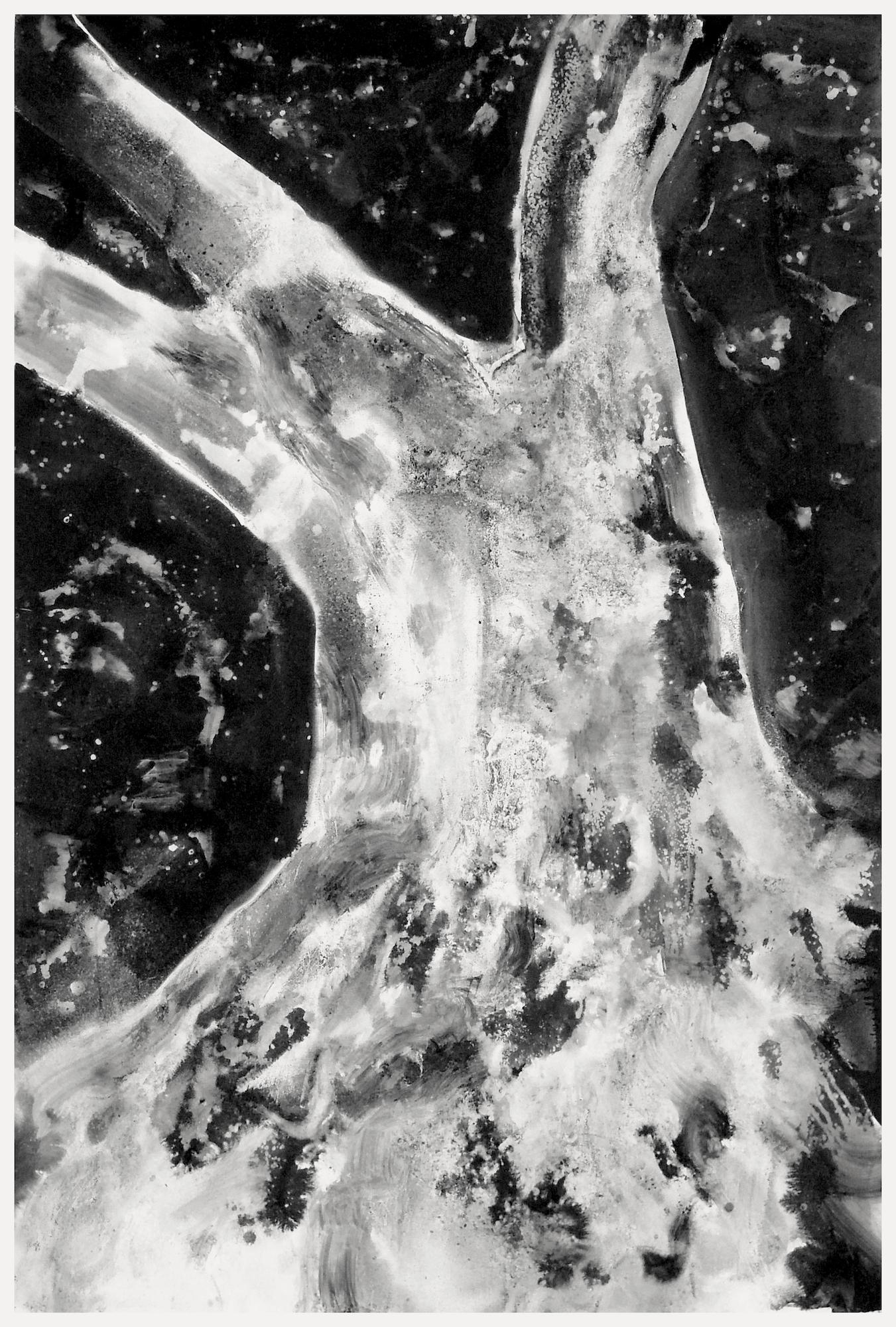 The breath of the ground #41 by Yann Bagot - Tuschezeichnung, Wald, Bäume, Roots