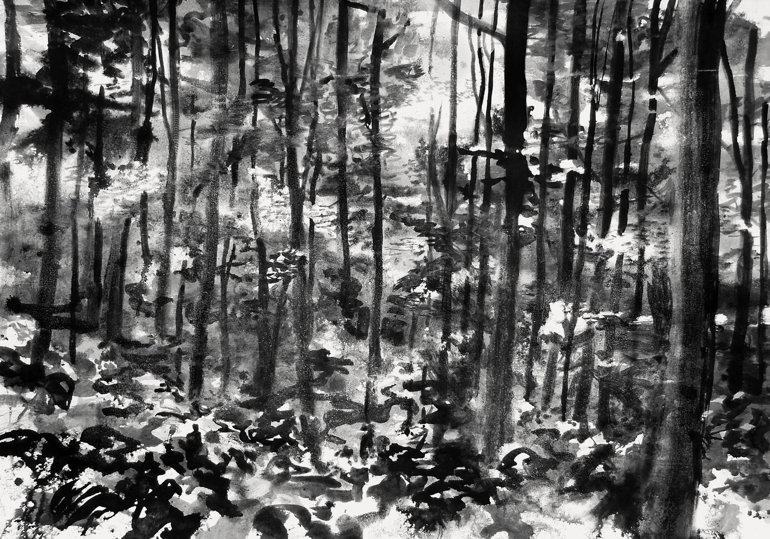 Fontainebleau #15 von Yann Bagot - Tuschezeichnung, Wald, Schwarz-Weiß, Natur