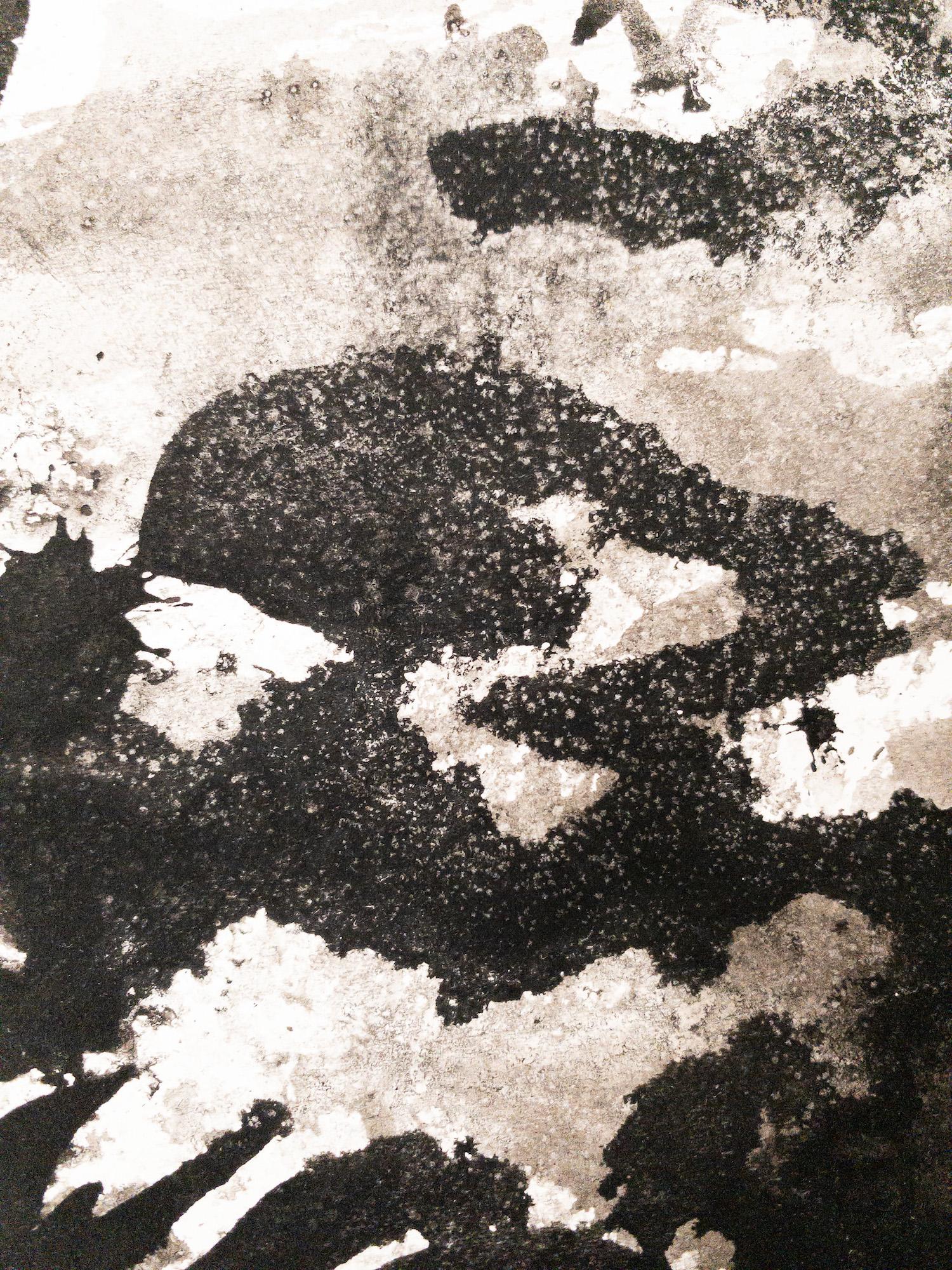 Fontainebleau #15 by Yann Bagot - Ink drawing, forest, black & white, nature For Sale 9