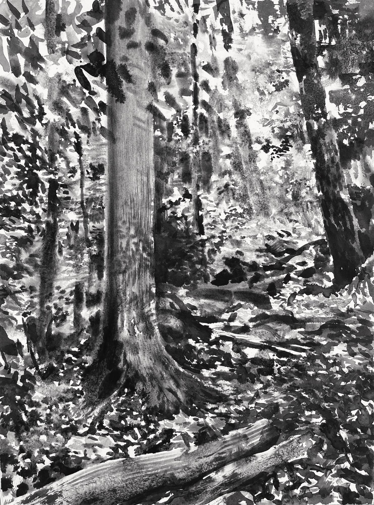 Forêt de Fontainebleau, été #24.01 par Yann Bagot - Dessin à l'encre contemporaine