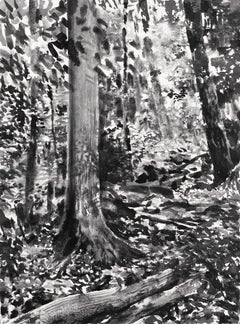 Forêt de Fontainebleau, été #24.01 par Yann Bagot - Dessin à l'encre contemporaine