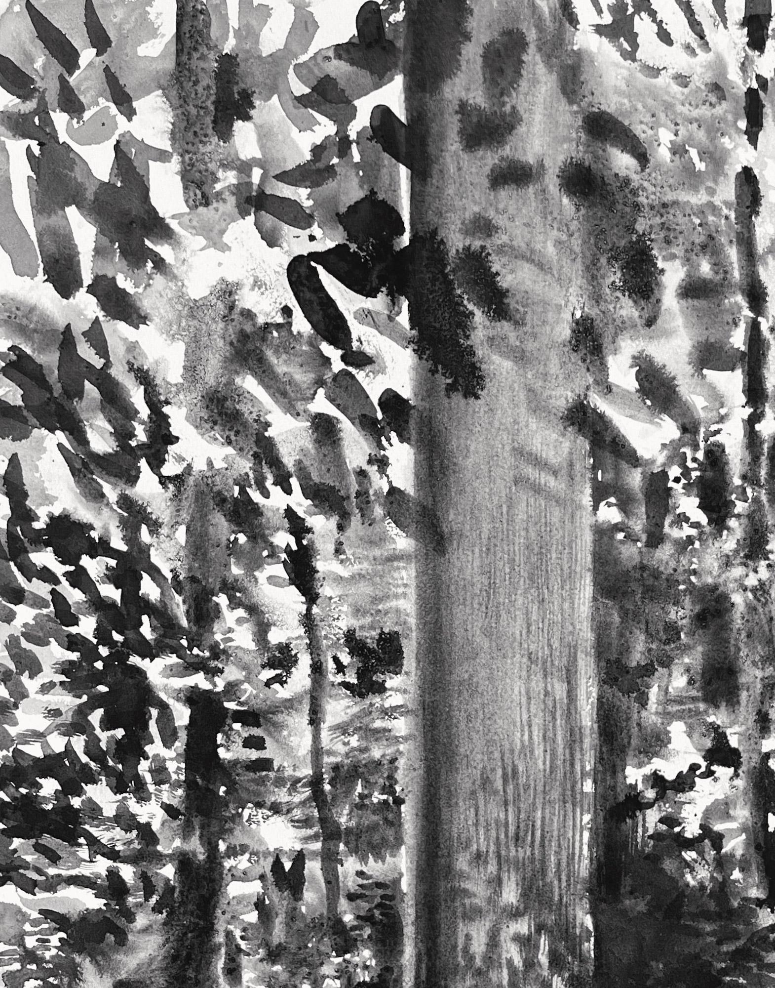 Forêt de Fontainebleau, été #24.01 par Yann Bagot - Dessin à l'encre contemporaine en vente 2
