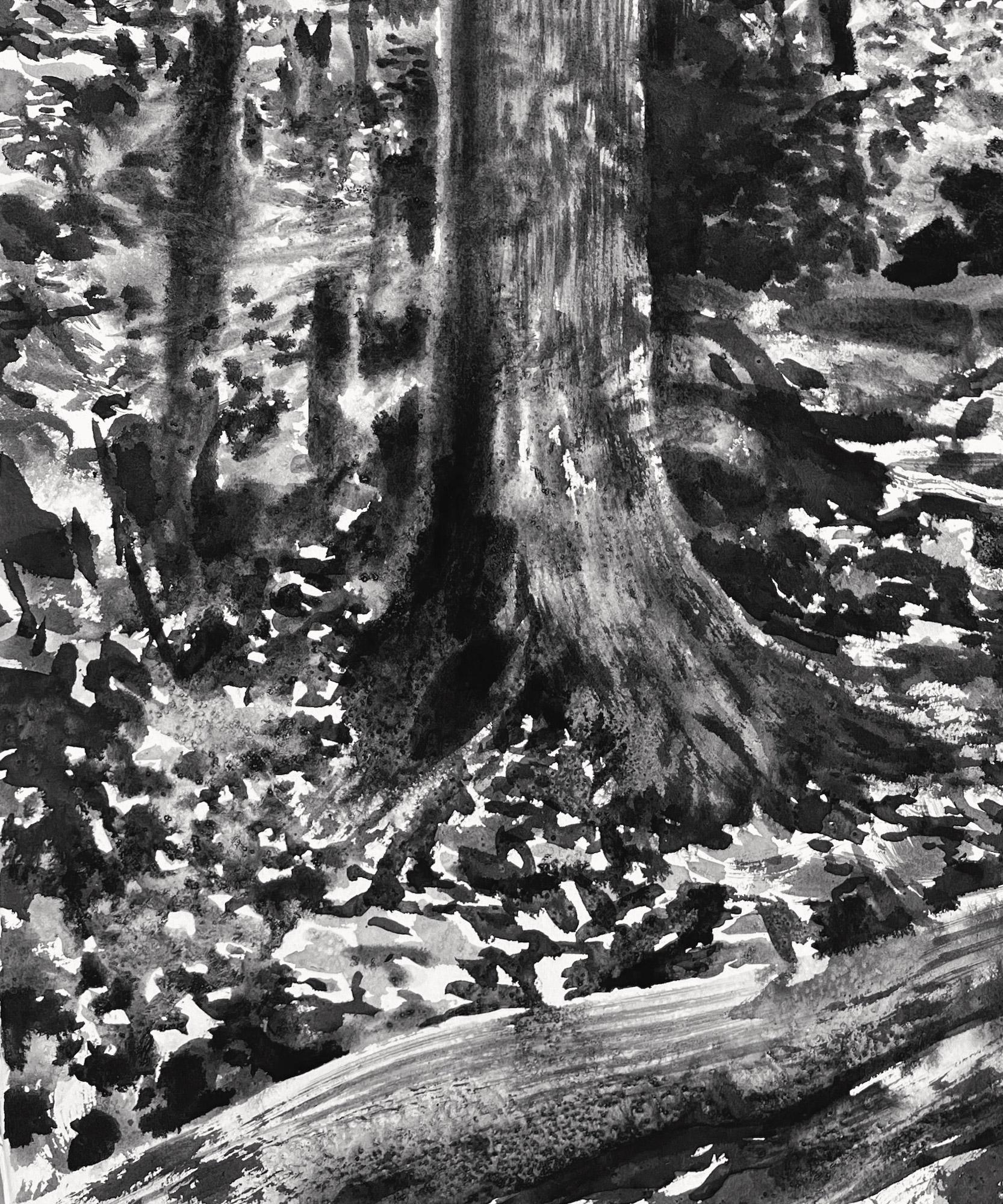 Forêt de Fontainebleau, été #24.01 par Yann Bagot - Dessin à l'encre contemporaine en vente 4