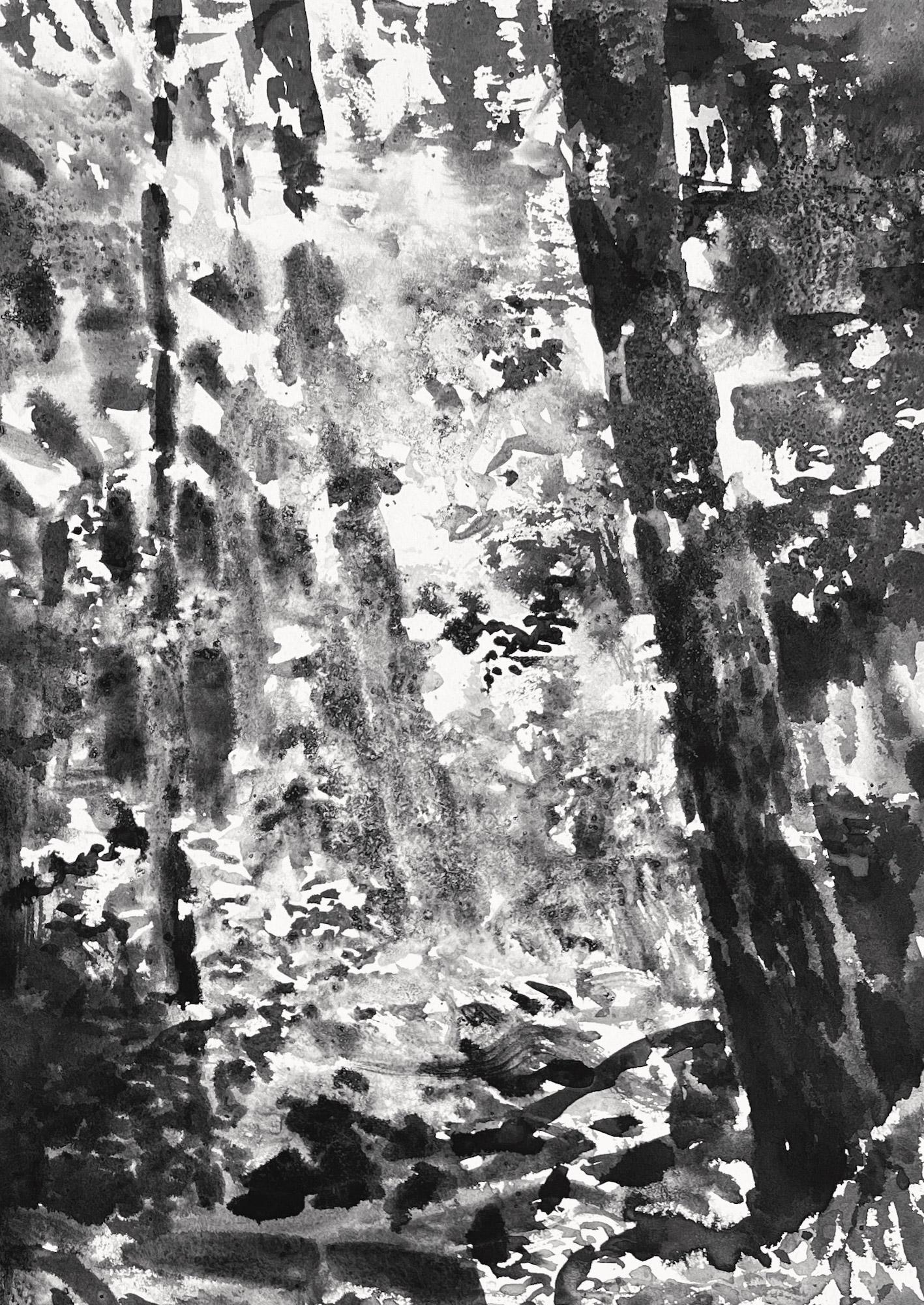 Forêt de Fontainebleau, été #24.01 par Yann Bagot - Dessin à l'encre contemporaine en vente 5