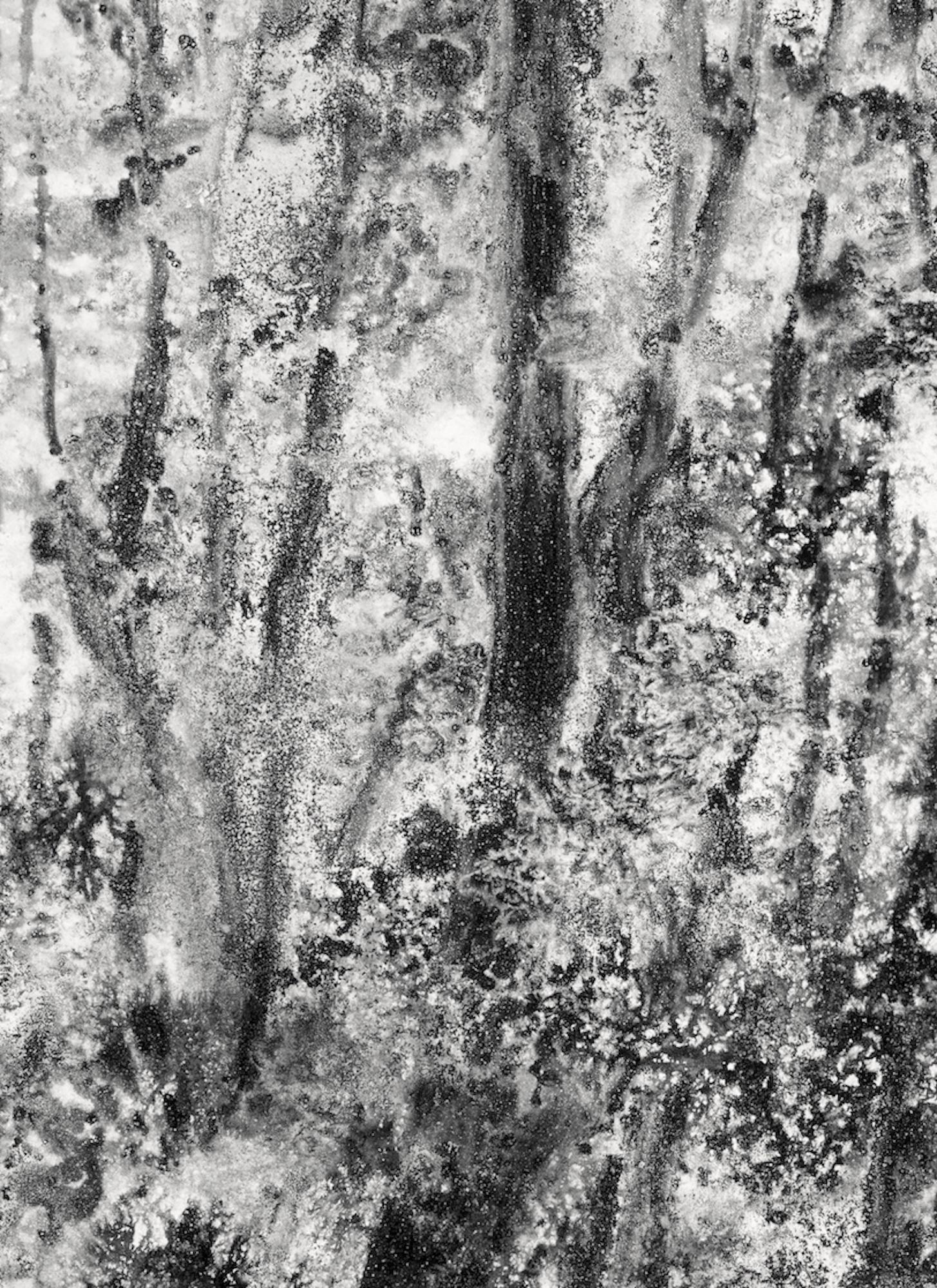 Air, light, matter (Abbaye de La Cambre n°34) de Yann Bagot - dessin à l'encre, forêt en vente 7