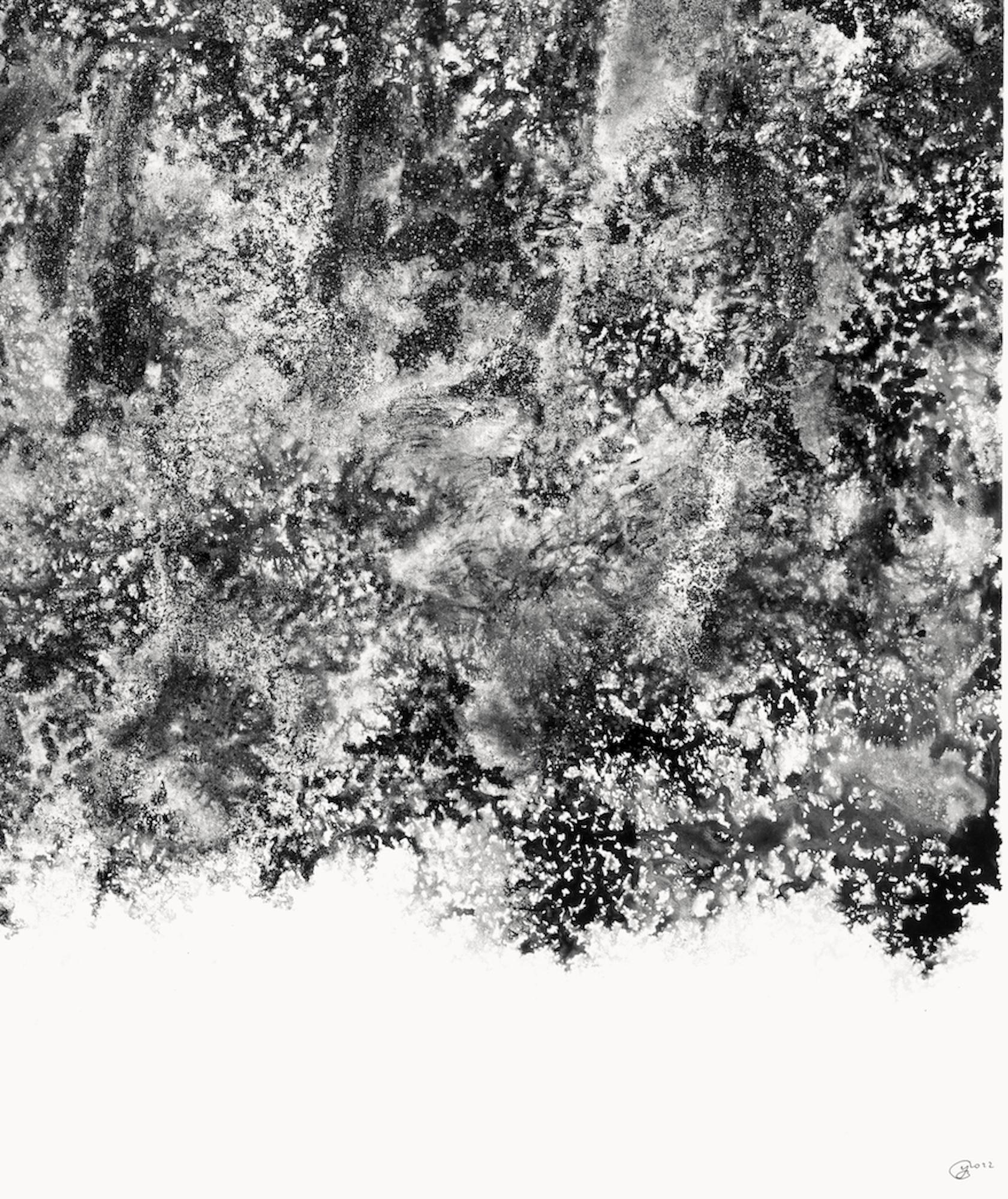 Air, light, matter (Abbaye de La Cambre n°34) de Yann Bagot - dessin à l'encre, forêt en vente 8