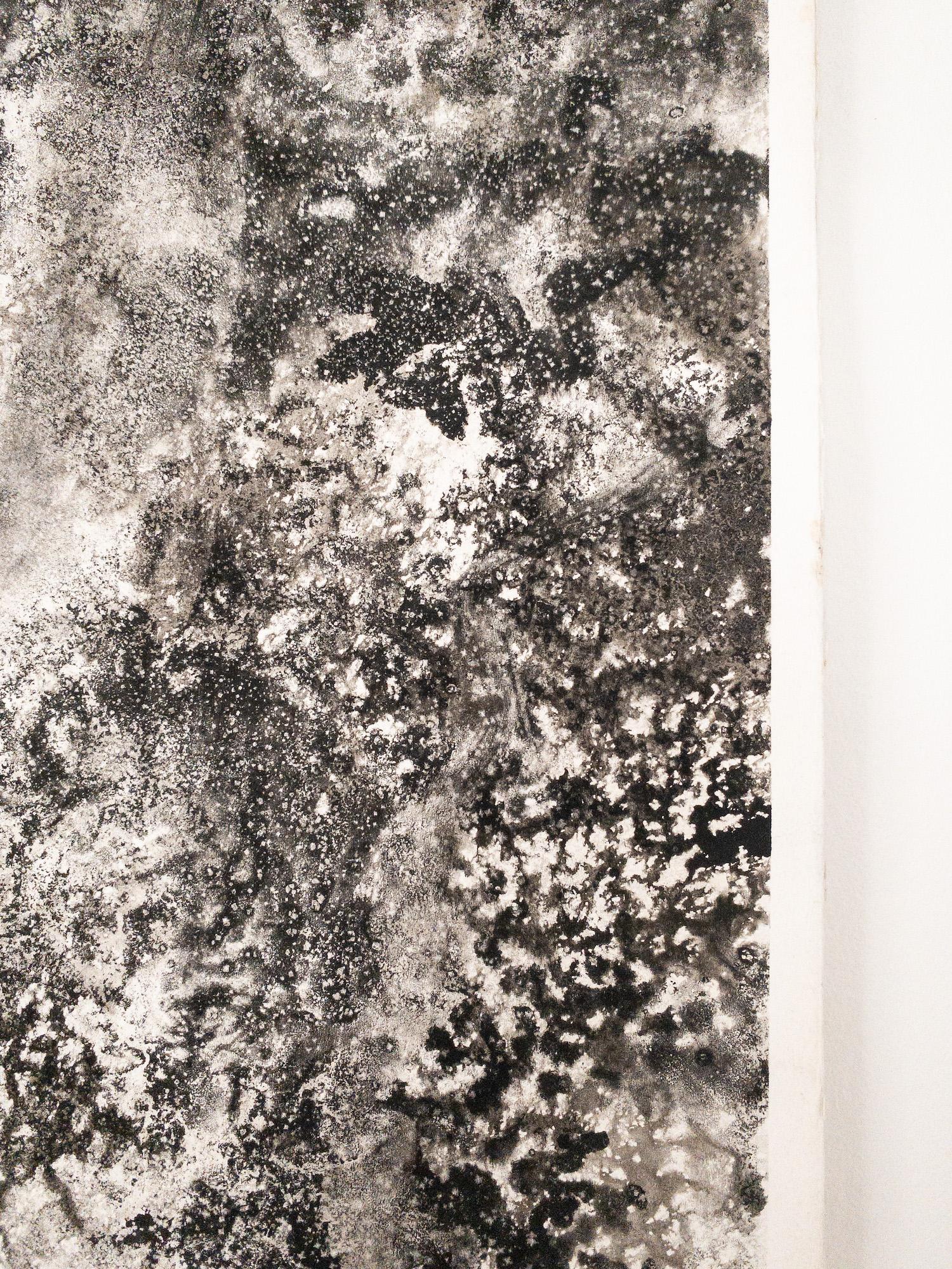 Air, light, matter (Abbaye de La Cambre n°34) de Yann Bagot - dessin à l'encre, forêt en vente 13