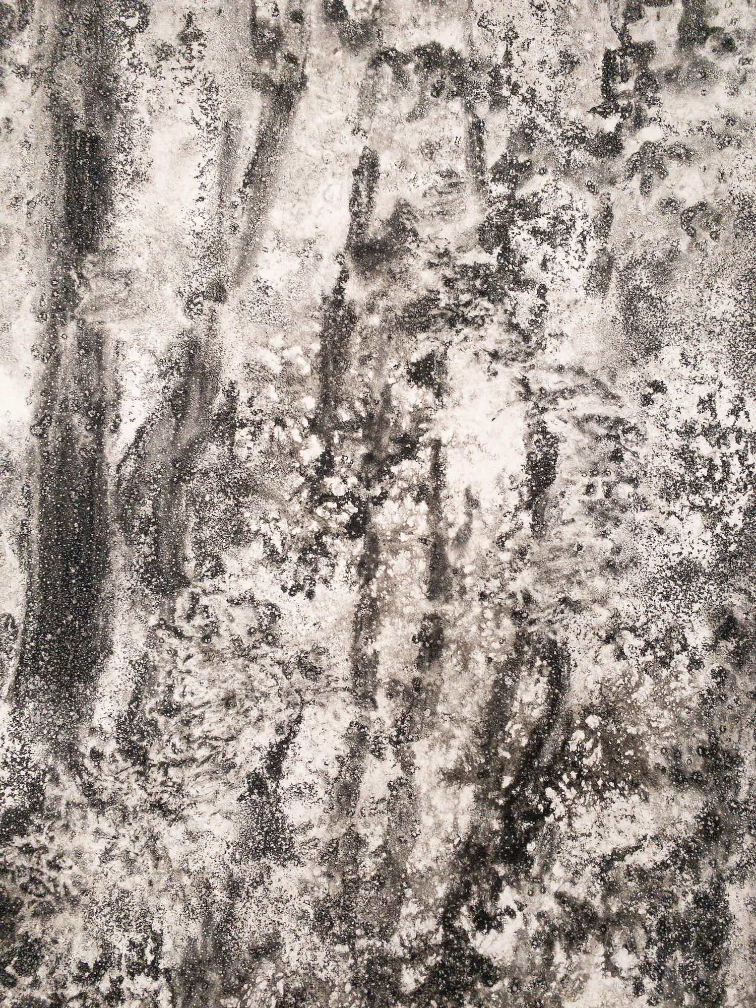 Air, light, matter (Abbaye de La Cambre n°34) de Yann Bagot - dessin à l'encre, forêt en vente 14