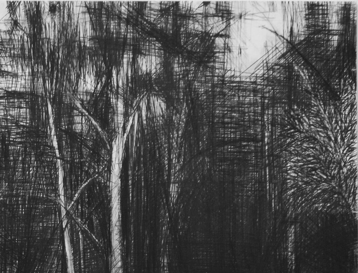 Barco en el río Marañón, serie Jungla - Dibujo Contemporáneo, obra sobre papel - Figurative Art Negro de Calo Carratalá