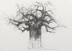 Baobab N7 by Calo Carratalá - Work on paper, graphite drawing, trees, Africa