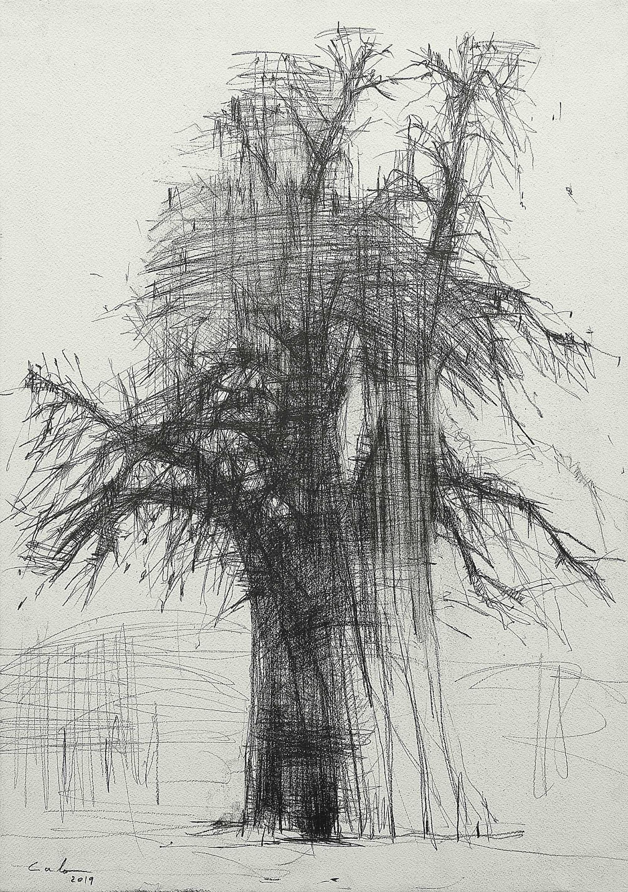 Baobab N2 by Calo Carratalá - black and white drawing, African trees