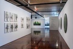 Baobab N6 by Calo Carratalá - black and white drawing, African trees