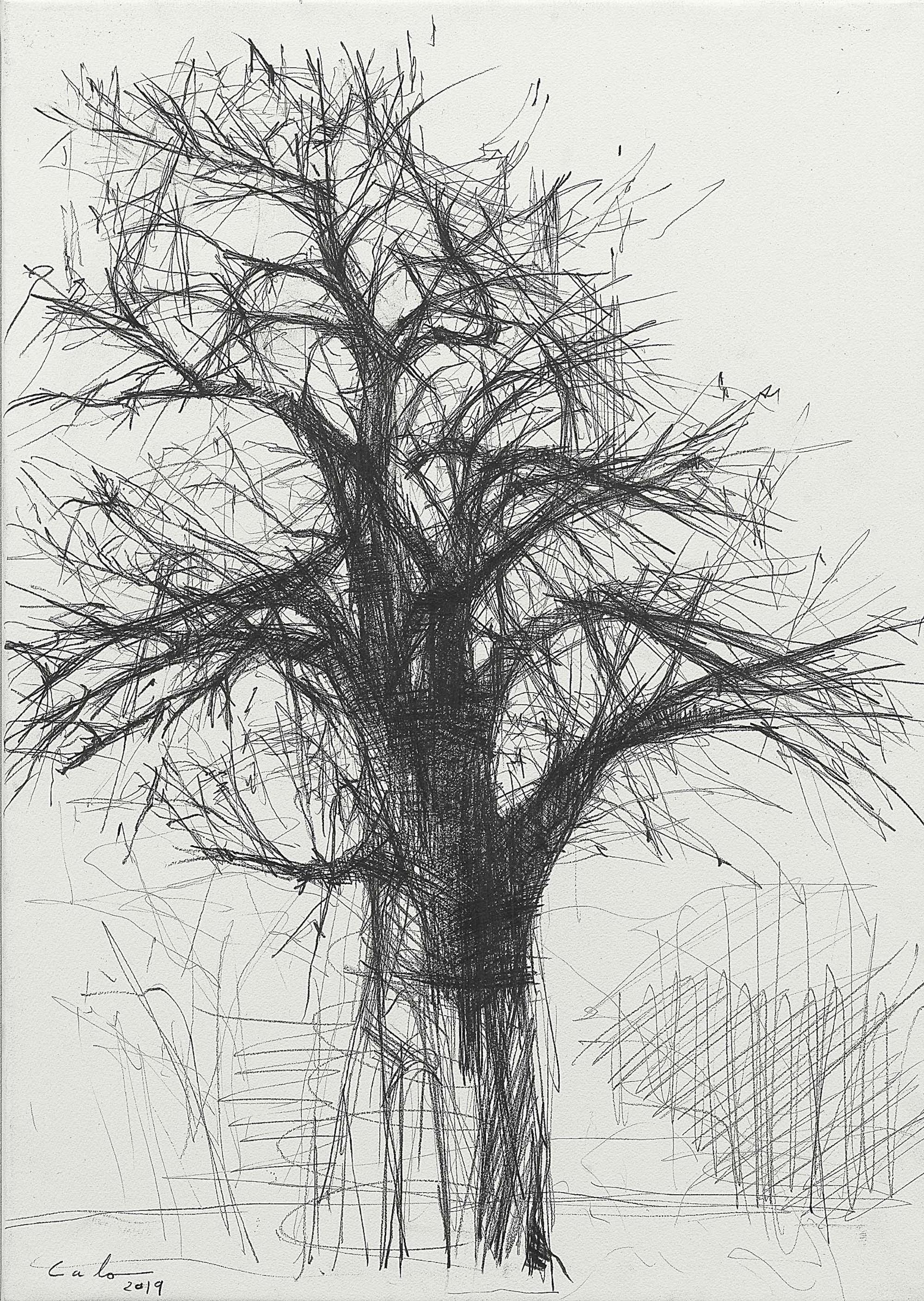 Baobab N9 by Calo Carratalá - black and white drawing, African trees