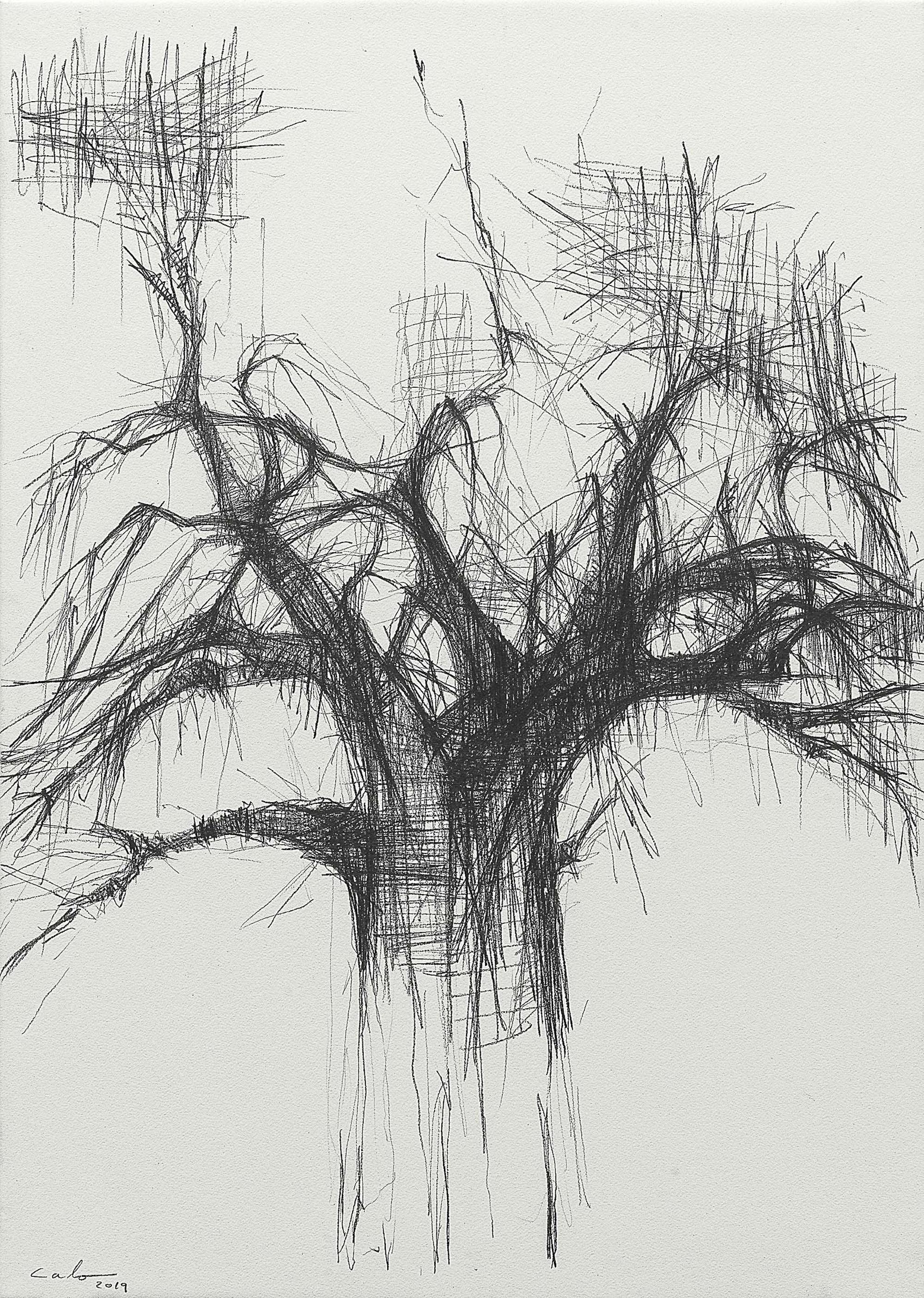 Baobab N11 from the series: ‘Baobab. La sombra de África’ (‘Baobab. Africa’s shadow’), is a drawing by the contemporary Spanish artist, Calo Carratalá. This drawing is mounted on a wood frame and sold framed with a methacrylate box. 
The specified