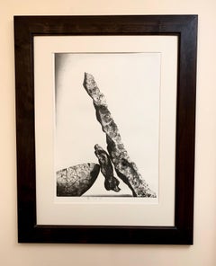 Caught, Trapped Rock & Balance von P. Brooke-Ball - Satz von 3 Graphitzeichnungen