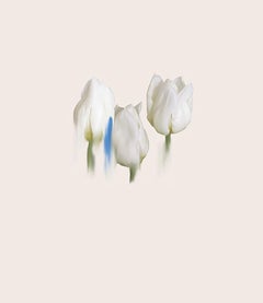 Forgiveness 1 - Botanical fine art print by British Artist Simone Webb