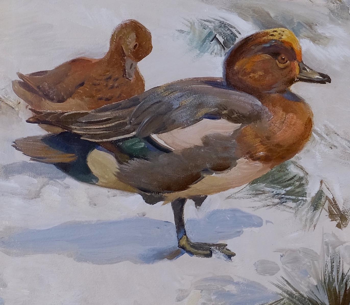 Wigeons In Winter A 20th Century Bird painting  1