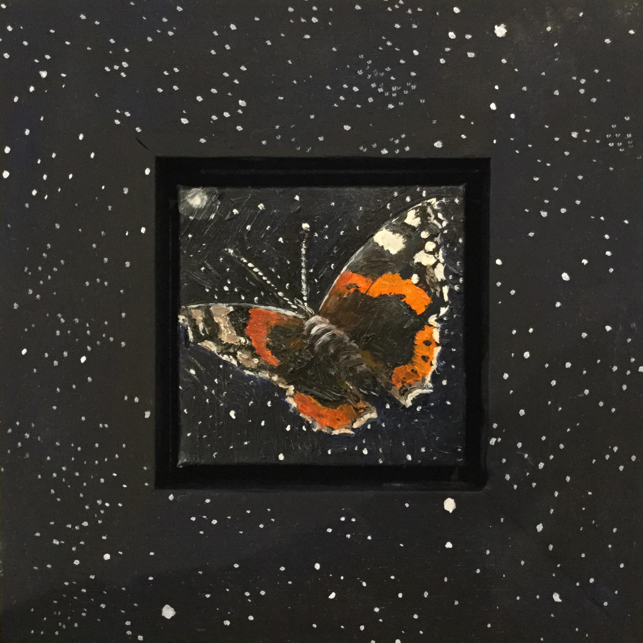Julie Fleming-Williams Animal Painting - Red admiral by starlight