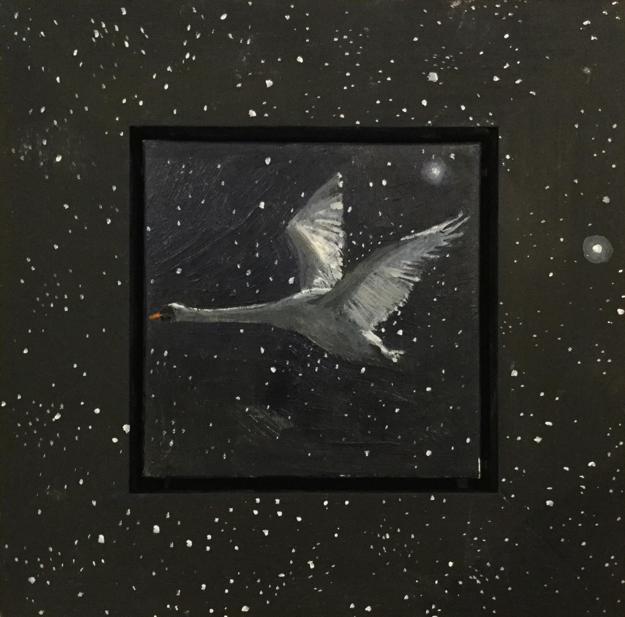 Julie Fleming-Williams Animal Painting - Swan by starlight