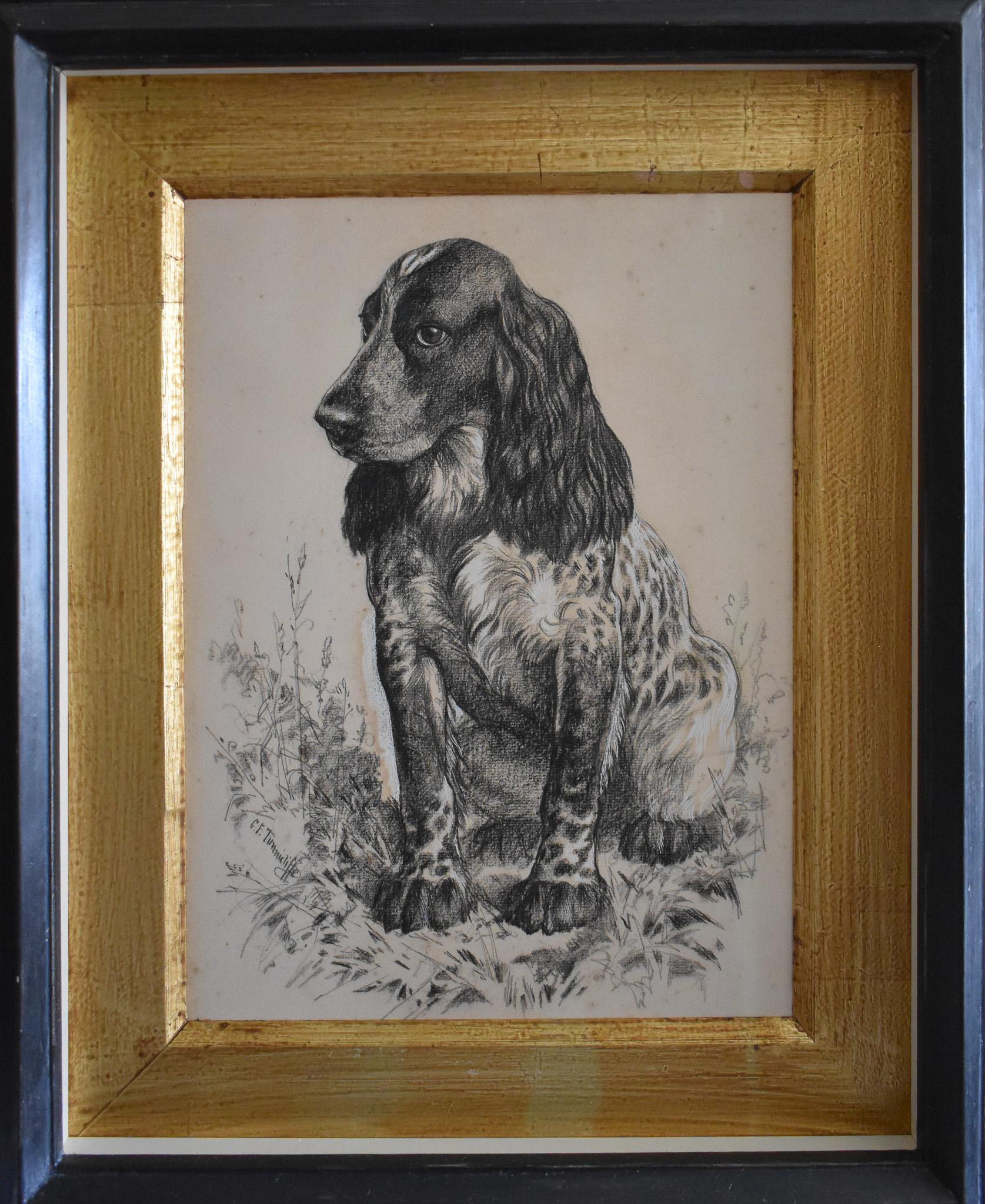 Un cocker spaniel ben addestrato