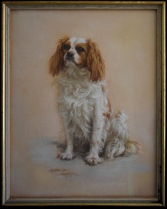 Le distingué Cobbly of Corr Castle, un Cavalier Spring Charles Spaniel