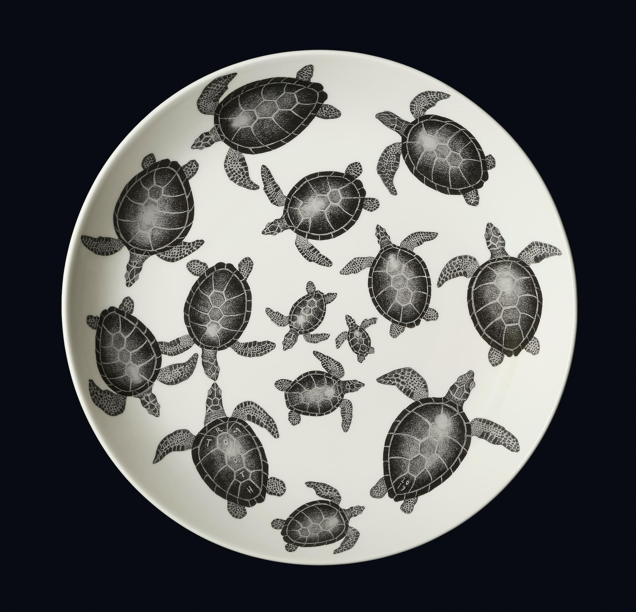 Turtle traffic - Art by Tom Rooth