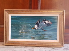 Contemporary Realist Wildlife Painting 'Puffin' by Ben Waddams