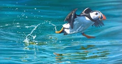 Contemporary Realist Wildlife Painting 'Puffin' by Ben Waddams 