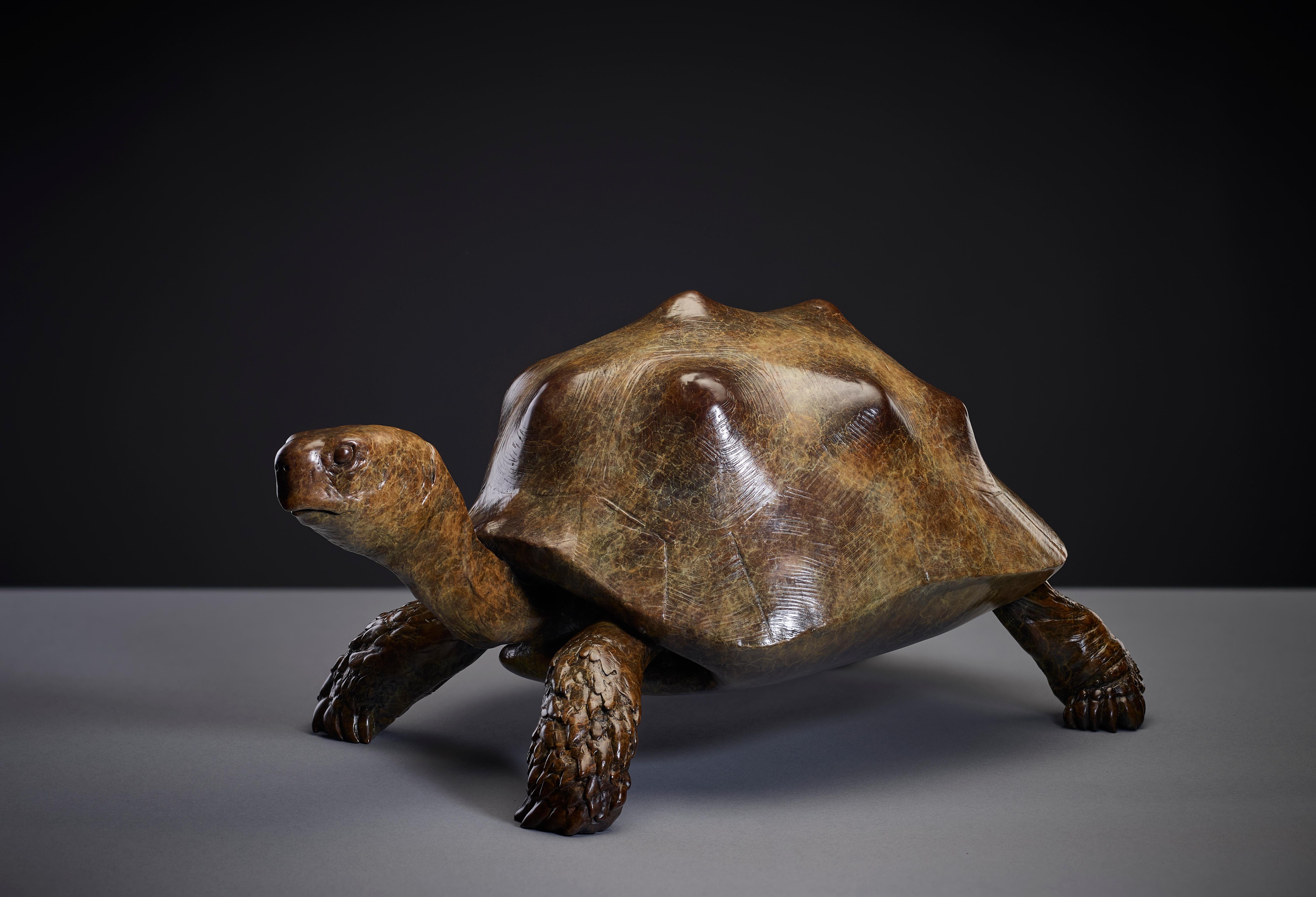 Zeitgenössische lebensgroße patinierte Wildleder-Skulptur „Tortoise“ von Tobias Martin 
