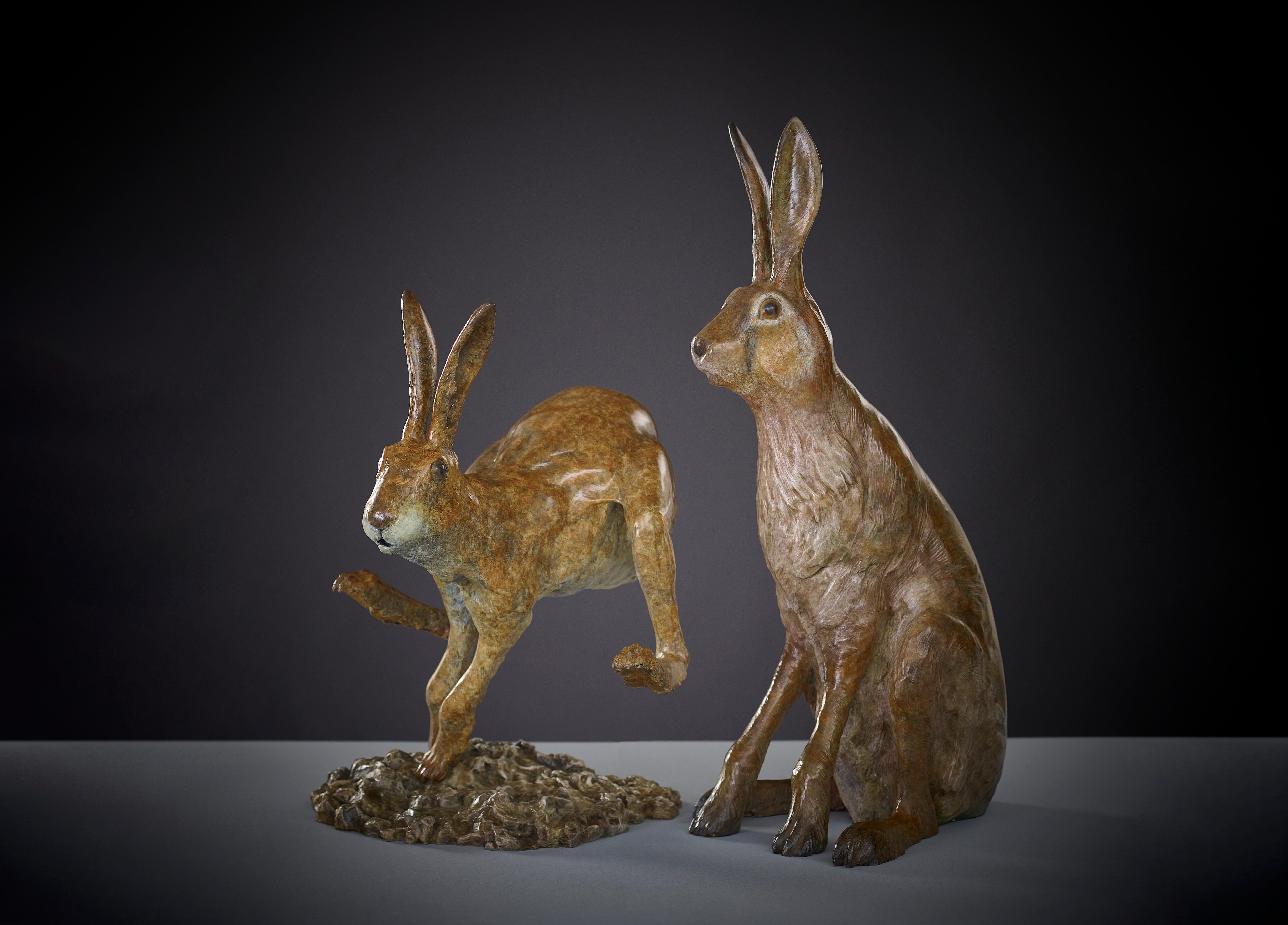 Sculpture britannique contemporaine en bronze - Animaux sauvages britanniques 'Sir Humphrey' de Tobias Martin  en vente 6