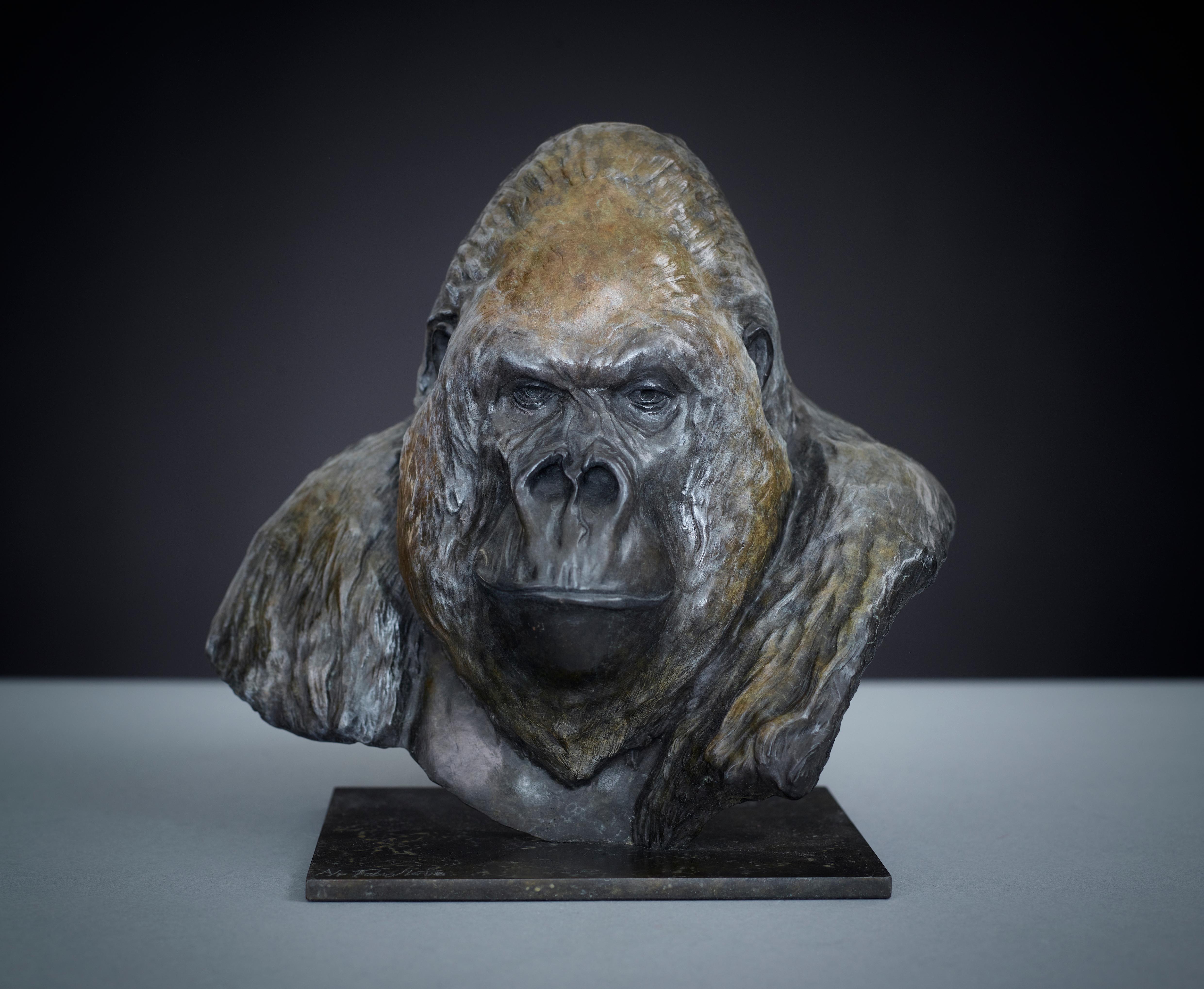 Sculpture contemporaine en bronze animalière d'une Gorilla « Nico Jnr » de Tobias Martin