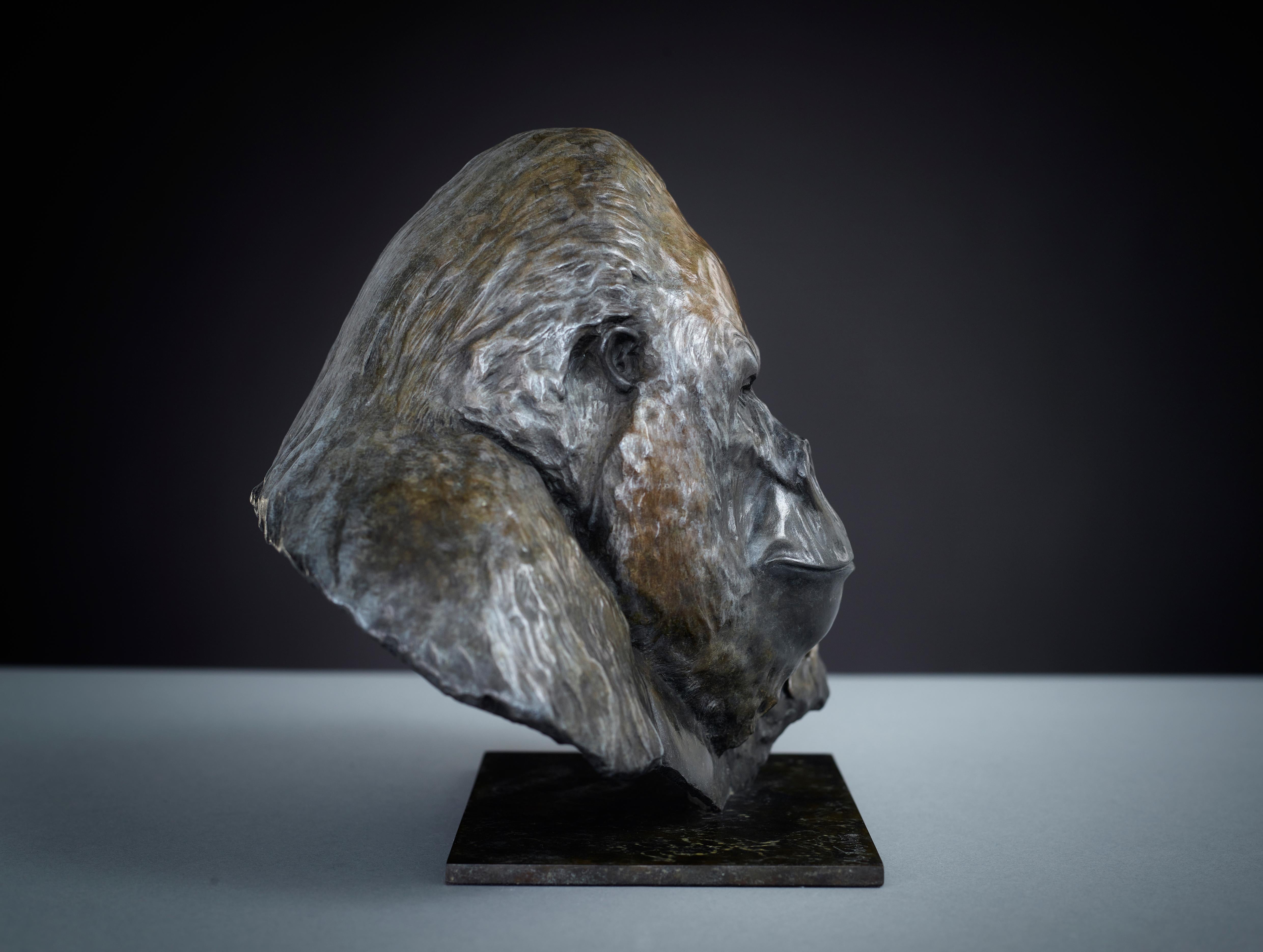 Scultura contemporanea in bronzo di un gorilla 