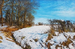 'The Lost Wood' A Realist Snowy Landscape by Contemporary artist Martin Taylor