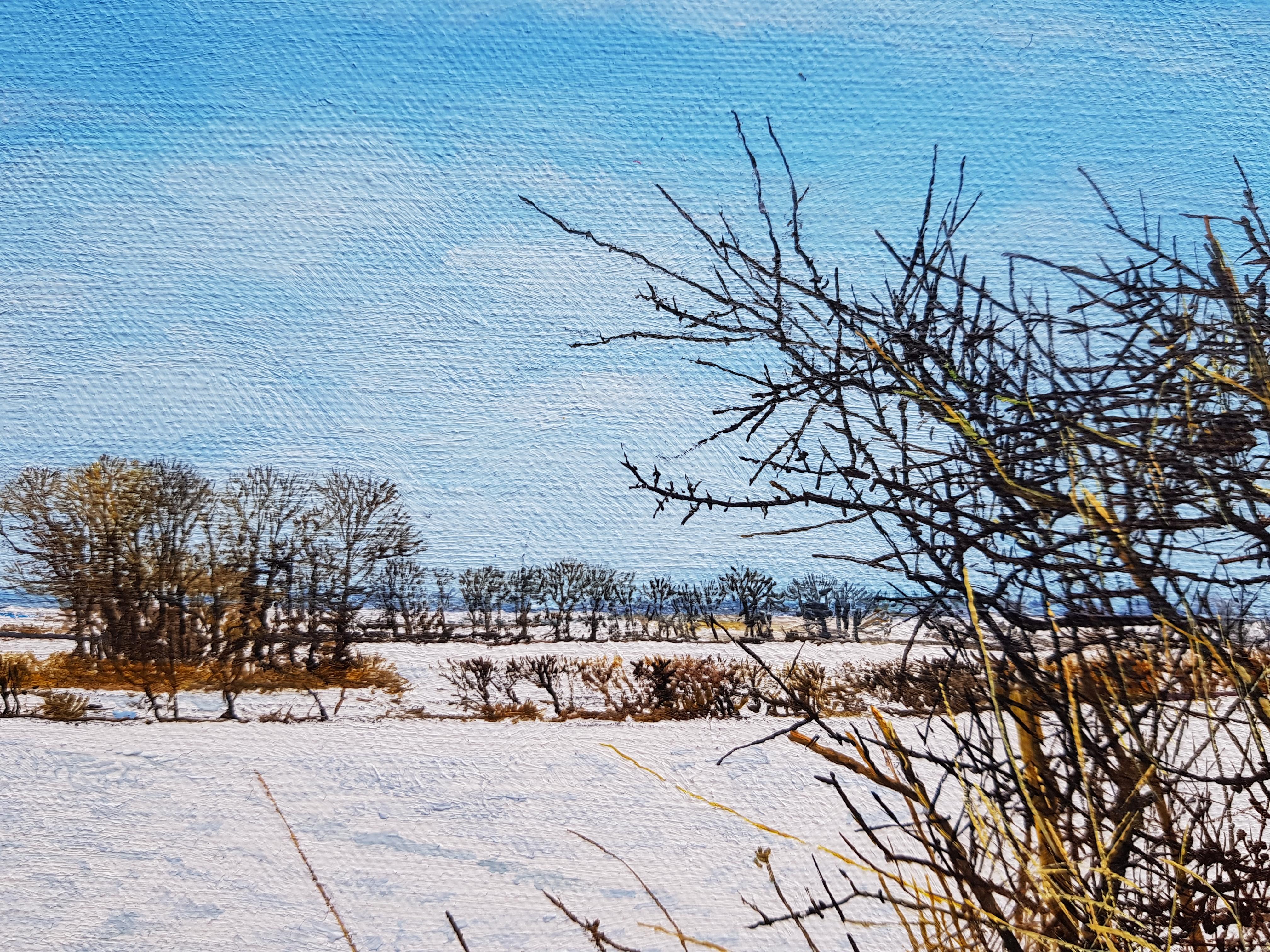 'The Lost Wood' A Realist Snowy Landscape by Contemporary artist Martin Taylor 1