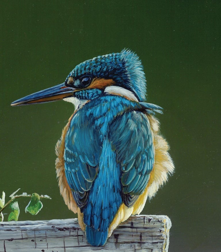 Ben Waddams Contemporary Realist Wildlife Bird oil painting