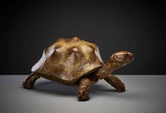 Contemporary Life size Wildlife Patinated Sculpture 'Tortoise' by Tobias Martin