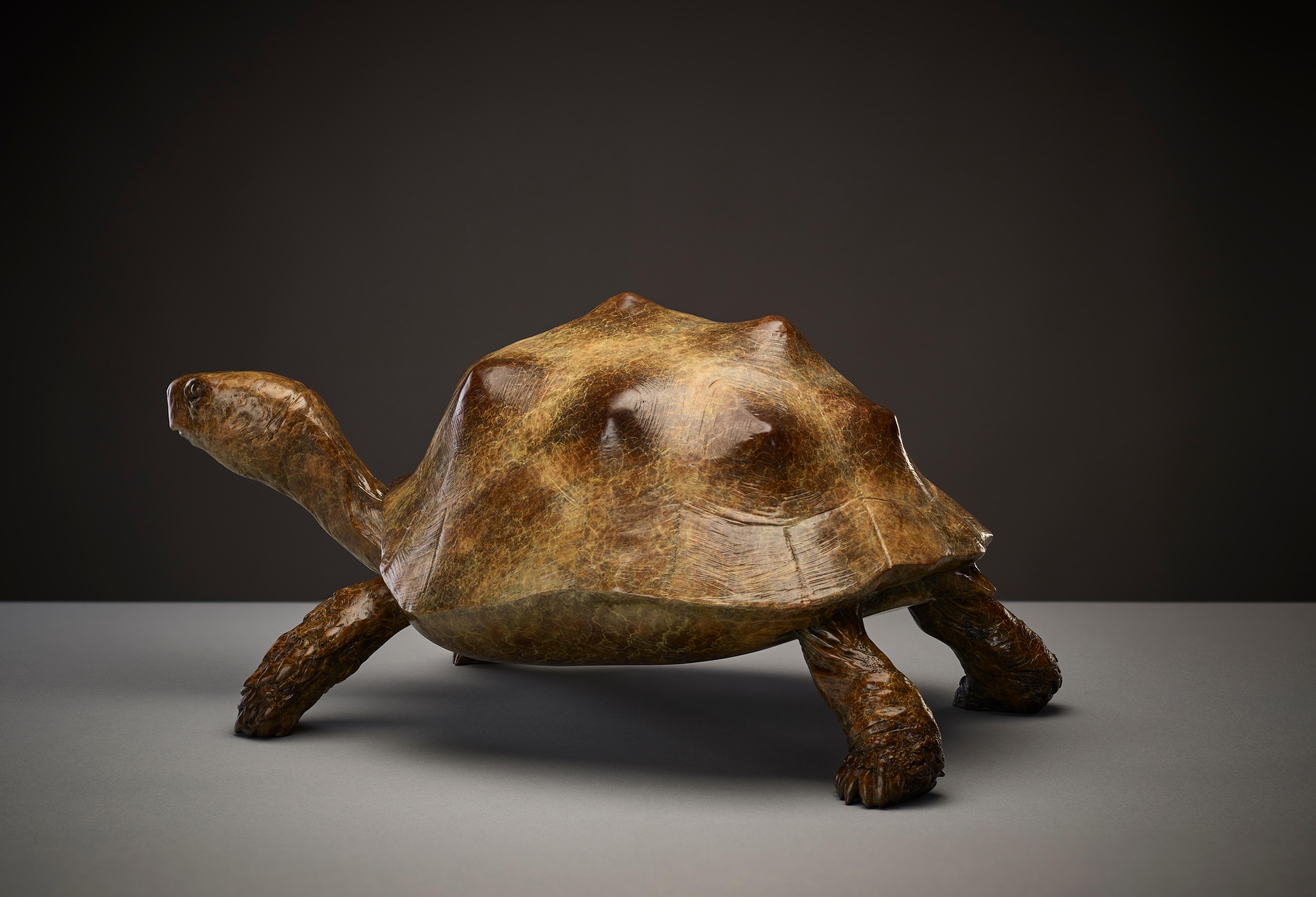 Scultura contemporanea a grandezza naturale di animali selvatici patinati 'Tartaruga' di Tobias Martin in vendita 3
