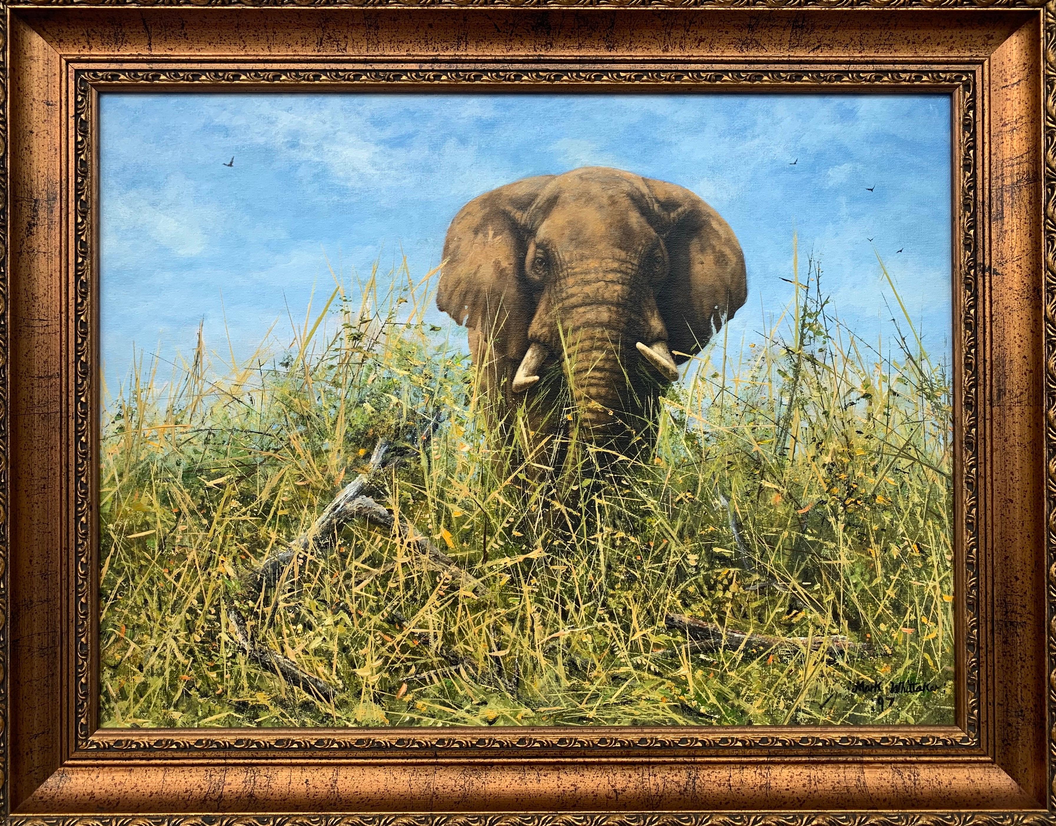 Peinture à l'huile originale d'un éléphant dans la nature par un artiste contemporain britannique