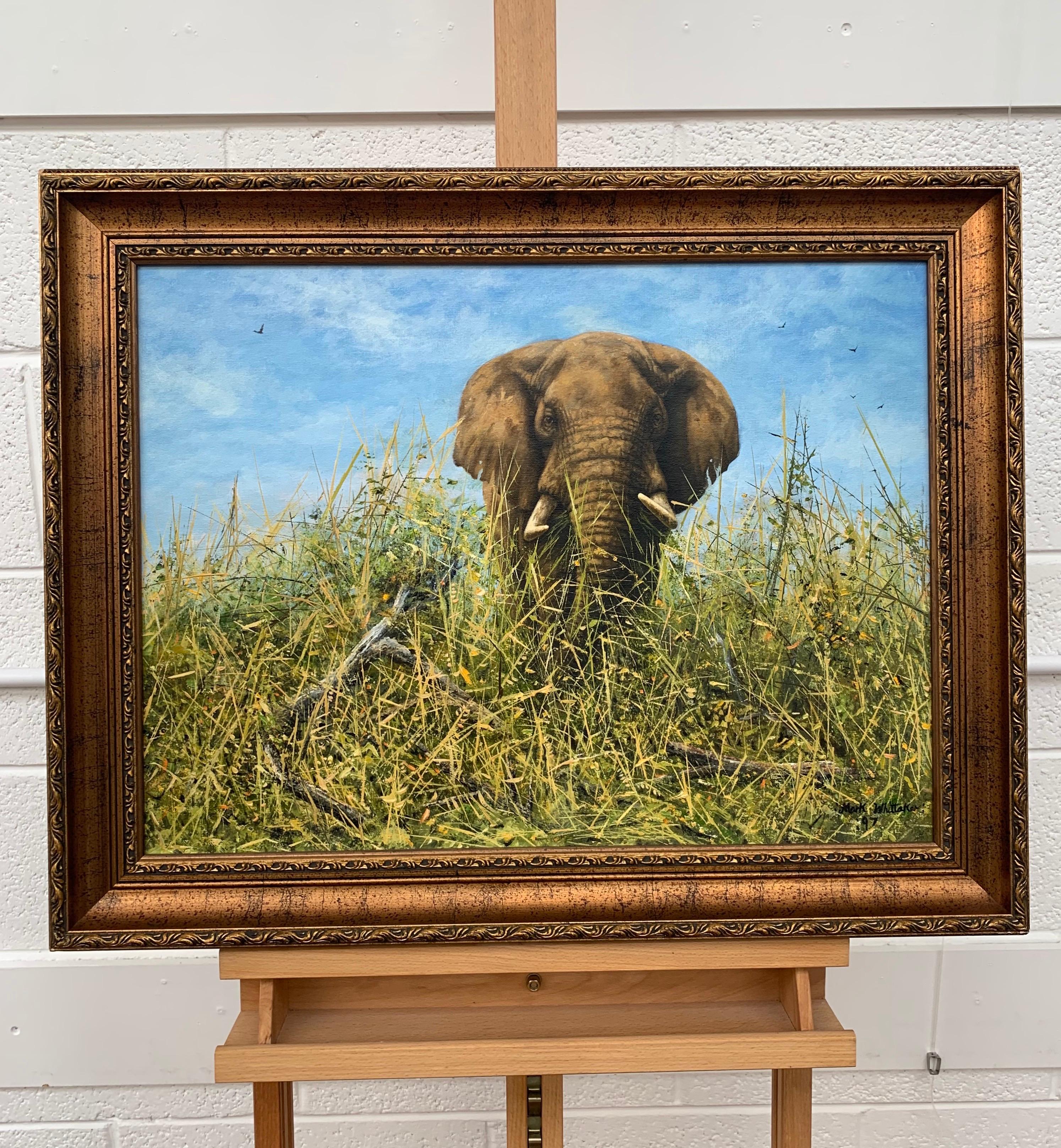 Peinture à l'huile originale d'un éléphant dans la nature par un artiste contemporain britannique - Réalisme Painting par Mark Whittaker
