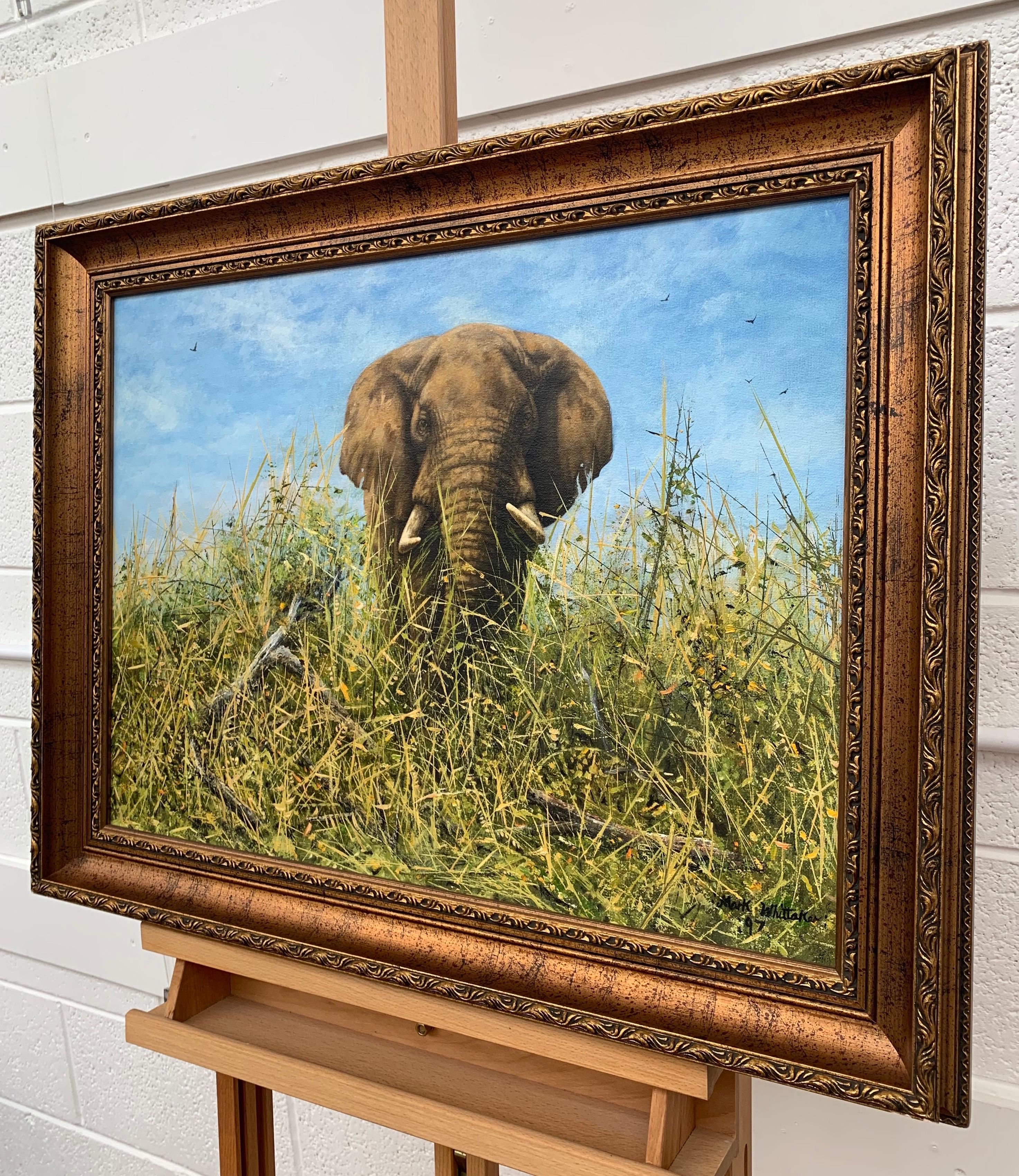 Peinture à l'huile originale d'un éléphant dans la nature par un artiste contemporain britannique - Marron Figurative Painting par Mark Whittaker