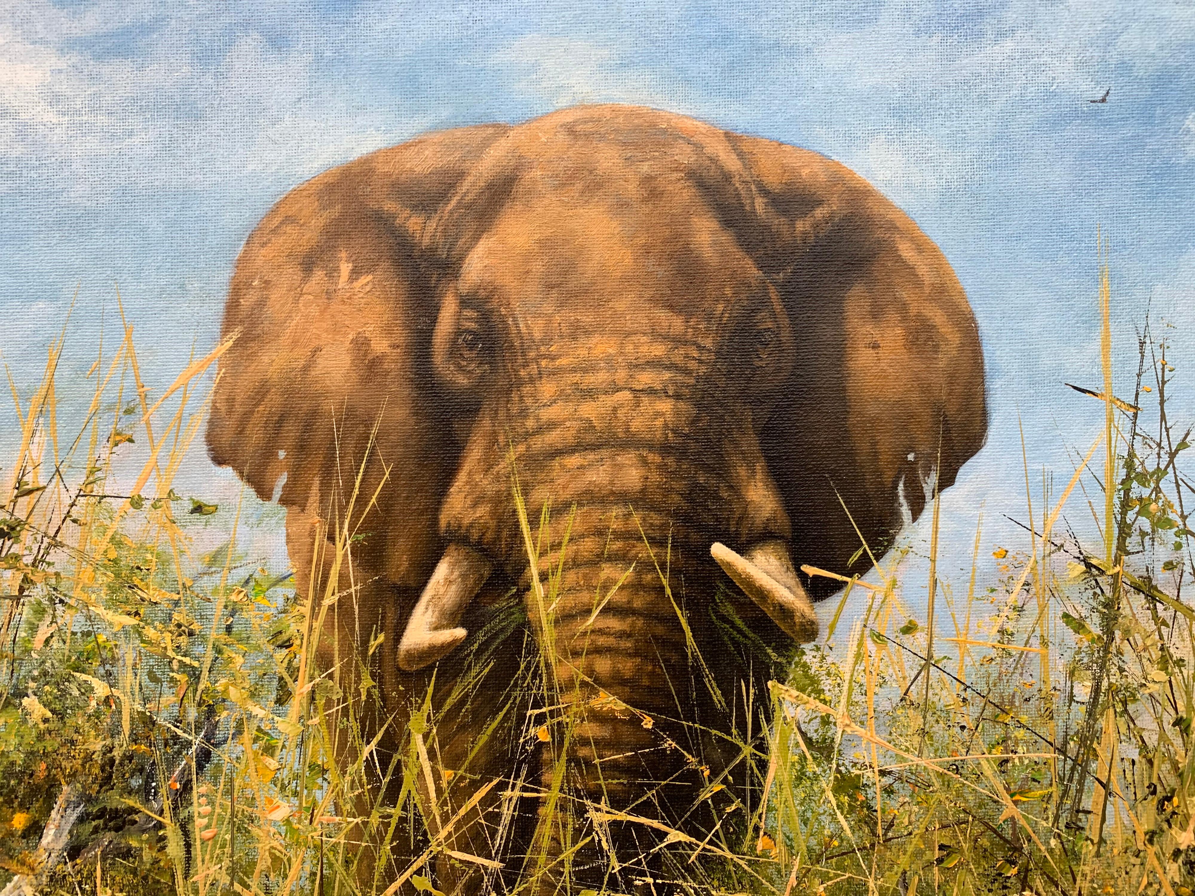 Original Oil Painting of Elephant in the Wild by British Contemporary Artist - Brown Figurative Painting by Mark Whittaker