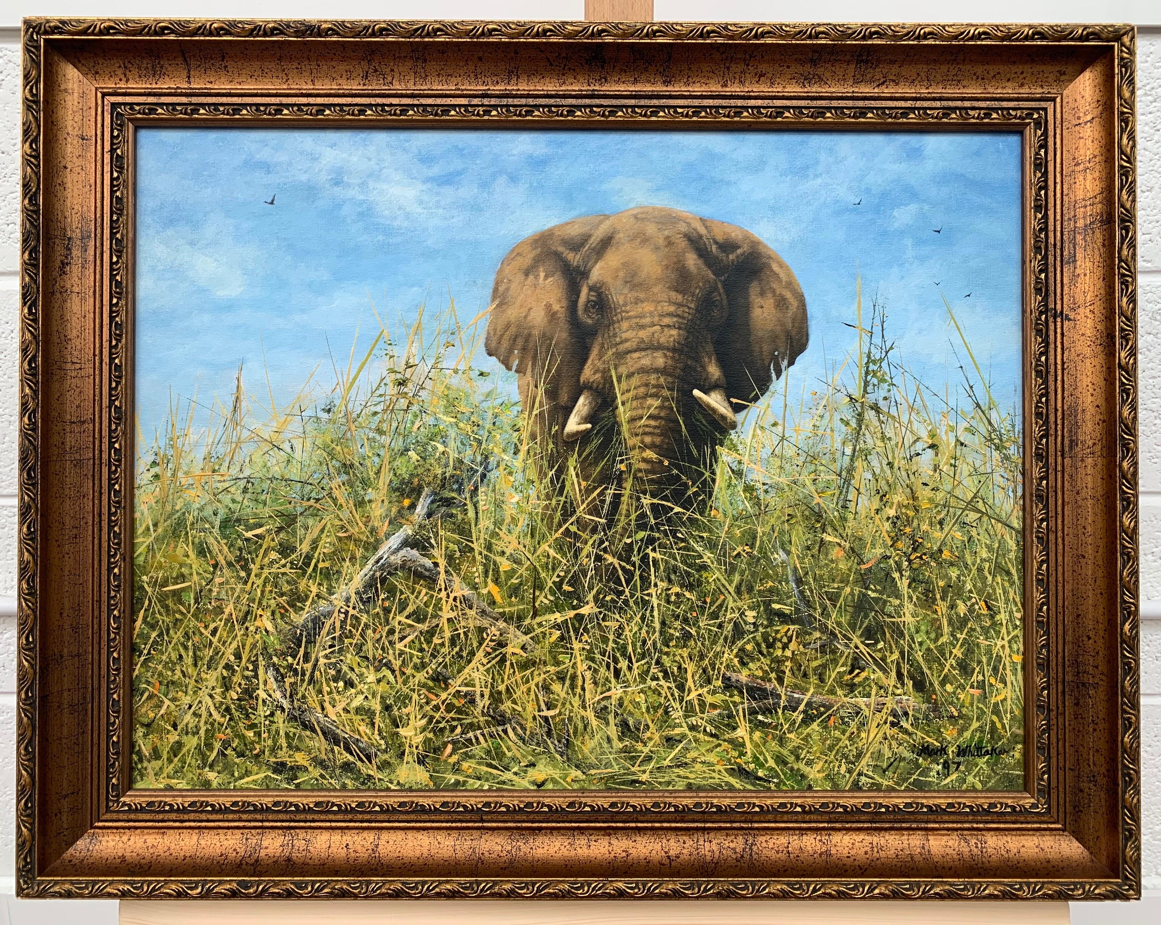 Peinture à l'huile originale d'un éléphant dans la nature par un artiste contemporain britannique en vente 6