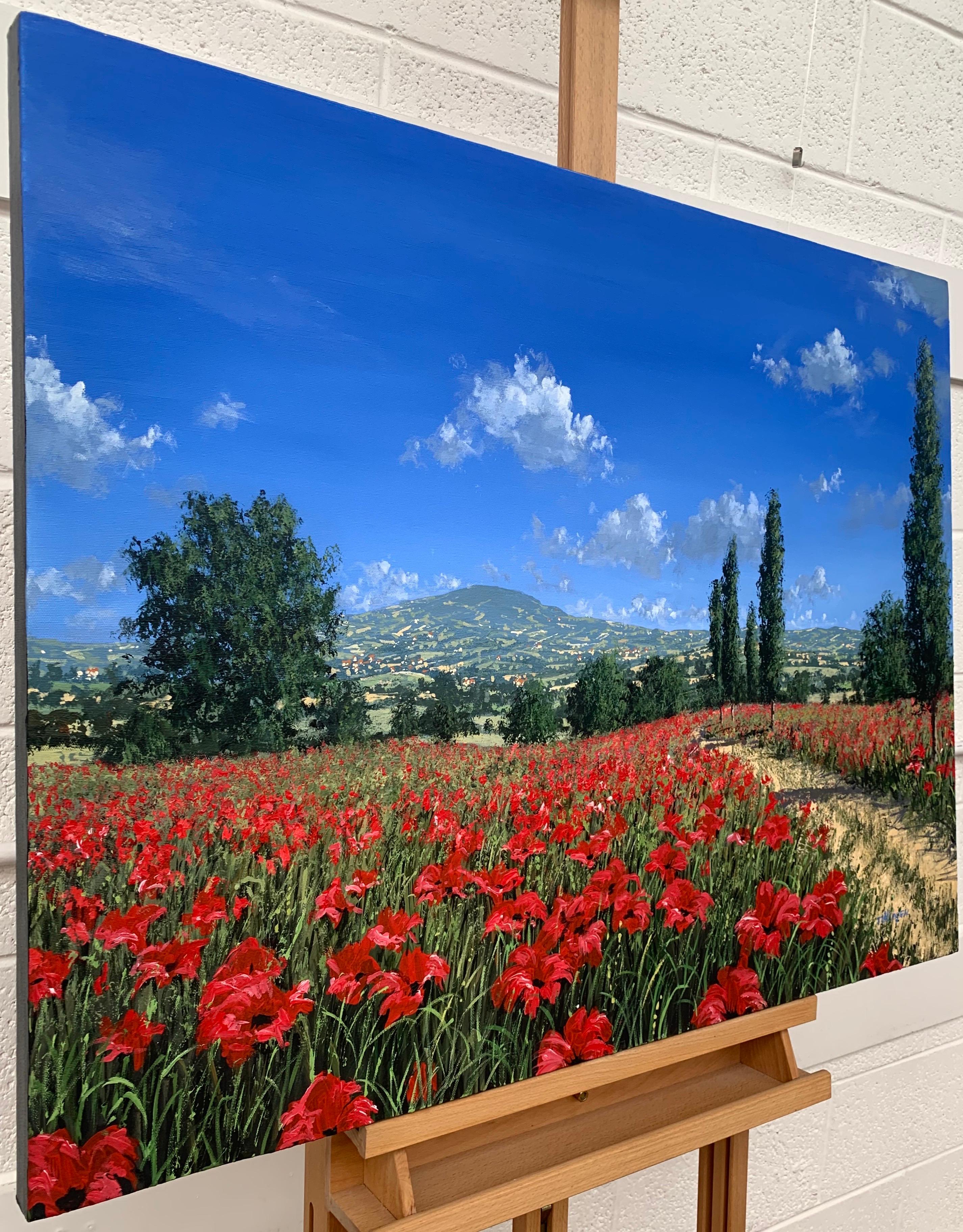 Bright Red Poppy Field in the Sunshine in Europe by Contemporary British Artist - Painting by Tim Layzell